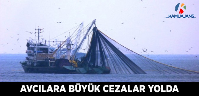 Avcılara Büyük Cezalar Yolda
