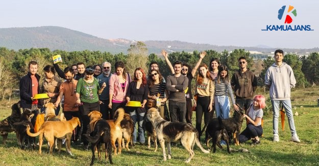 Sürgün Köpeklerin Sesi Olmak İçin Bir Kez Daha Bir Araya Geldiler!