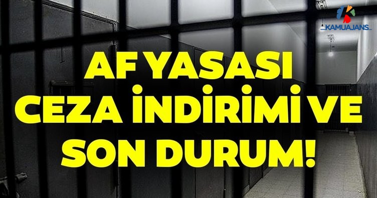 Bu 6 Suçu İşlemeyenlere Af! Onbinlerce Tahliye Olacak Erdoğan Müjdeyi Verdi!