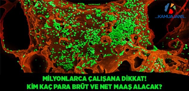 Corona Geldi Gelecek
