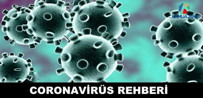 Coronavirüs Rehberi