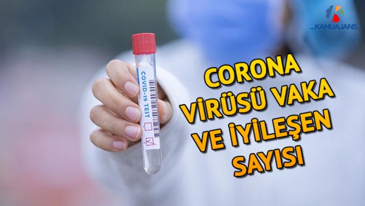 13 Mayıs 2020 Koronavirüs Vaka Tablosu Yayınlandı