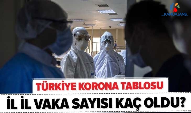 19 Mayıs 2020 Koronavirüs Tablosu Yayınlandı