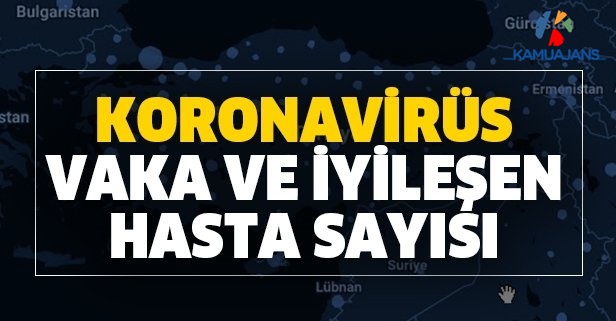 20 Mayıs 2020 Koronavirüs Vaka Tablosu