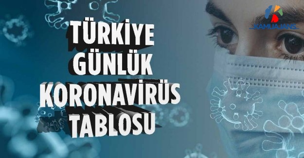 23 Haziran 2020 Koronavirüs Günlük Tablosu