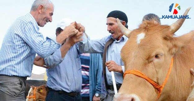 Kurban Kesimi 'Randevu' Sistemiyle Yapılacak Detaylar Resmi Gazete'de Yayımlandı