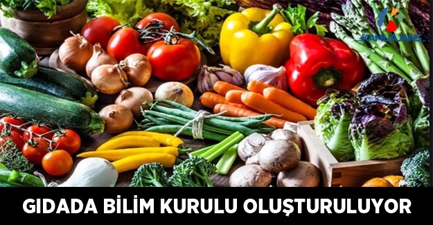 Gıda'da Bilim Kurulu Oluşturuluyor