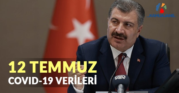 Koronavirüs (COVID-19) Veriler (12 Temmuz 2020)