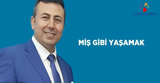 Miş Gibi Yaşamak
