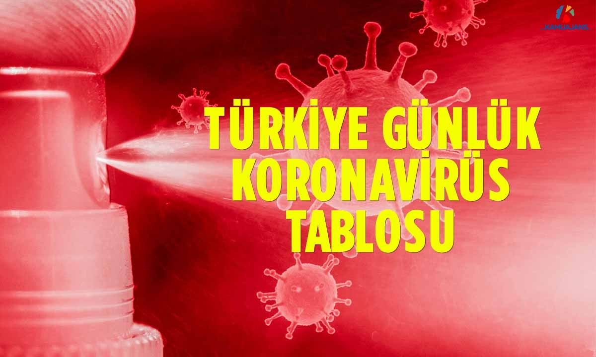 5 Ağustos 2020 Koronavirüs Tablosu Yayınlandı