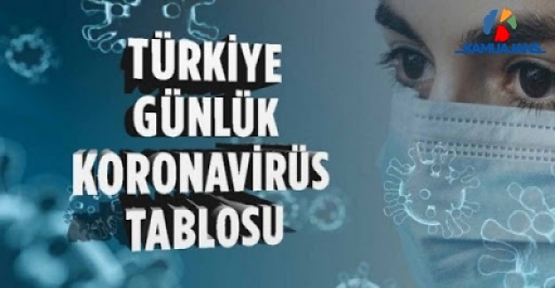 6 Ağustos 2020 Koronavirüs Tablosu