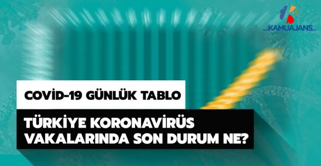 11 Ağustos 2020 Koronavirüs Tablosu