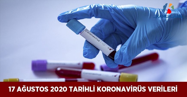 Koronavirüs (COVID-19) Veriler (17 Ağustos 2020)