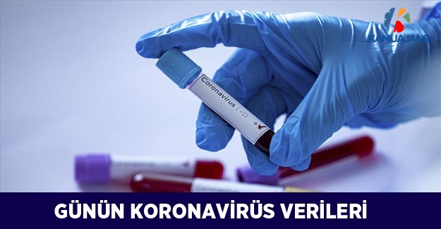 24 Ağustos 2020 Tarihli Koronavirüs Verileri
