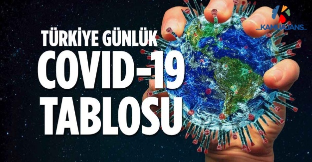 1 Eylül 2020 Koronavirüs Tablosu