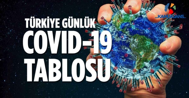 3 Eylül 2020 Koronavirüs Tablosu