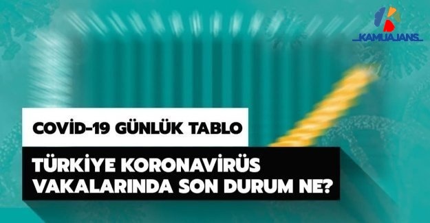 8 Eylül 2020 Koronavirüs Tablosu