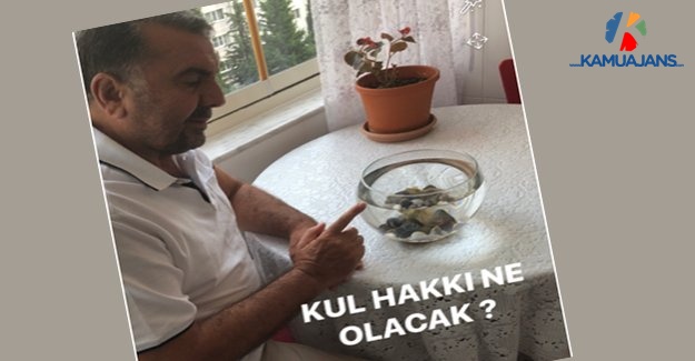 Kul Hakkı Ne Olacak?