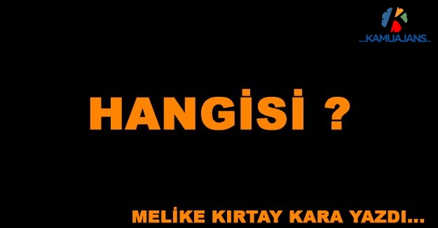 Hangisi?