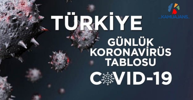 31 Ağustos 2020 Koronavirüs Tablosu