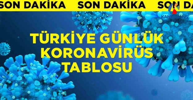 8 Aralık 2020 Koronavirüs Tablosu