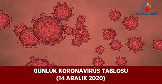 Günlük Koronavirüs (COVID-19) Verileri (14 Aralık 2020)