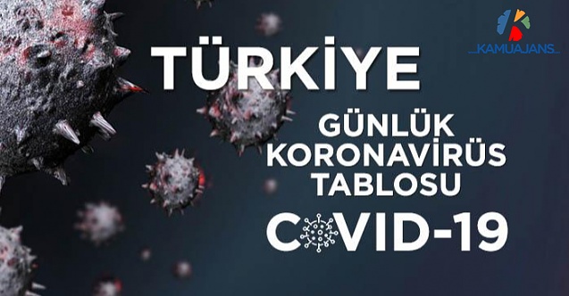 15 Aralık 2020 Koronavirüs Tablosu
