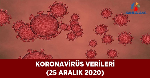 25 Aralık 2020 Tarihli Koronavirüs Verileri
