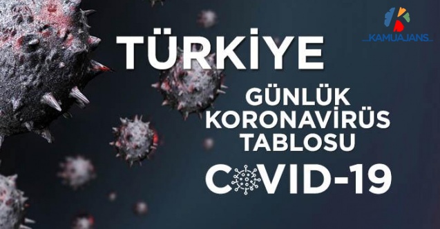 19 Ocak 2021 Koronavirüs Tablosu