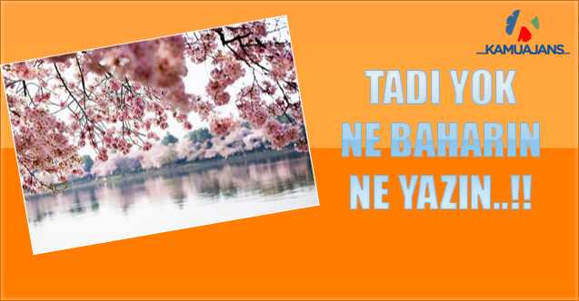 Tadı Yok ;Ne Baharın ,Ne Yazın..!!