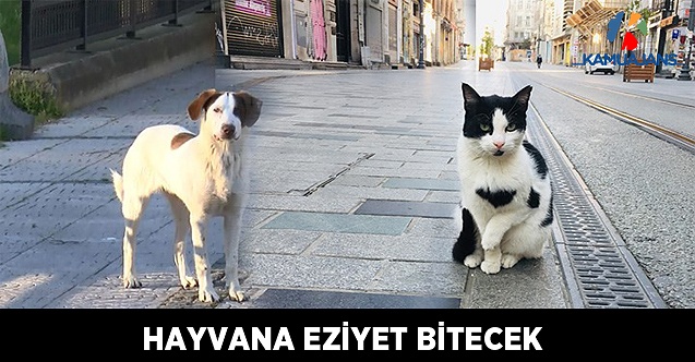 Hayvana Eziyet Bitecek