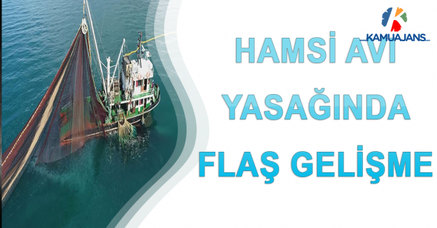 Hamsi Avı Yasağında Flaş Gelişme