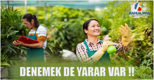 Denemek De Yarar Var !!