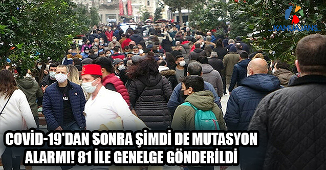 Covid-19'dan Sonra Şimdi De Mutasyon Alarmı! 81 İle Genelge Gönderildi