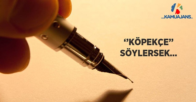 ''Köpekçe'' Söylersek...