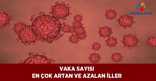 Vaka Sayısı En Çok Artan ve Azalan İller