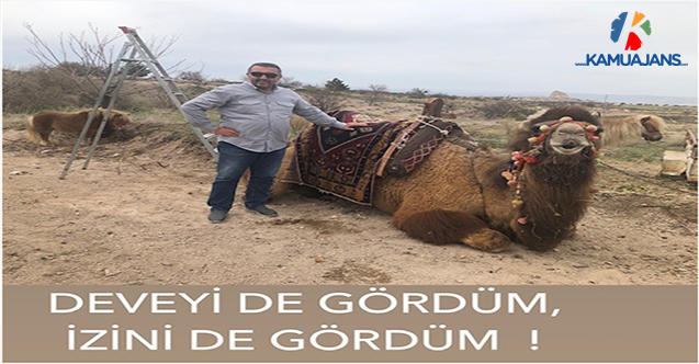 Deveyi De Gördüm, İzini De Gördüm