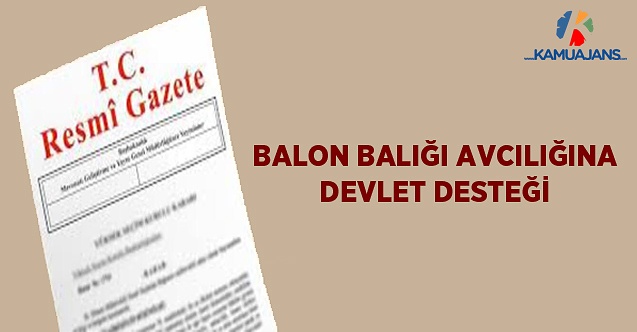 Balon Balığı Avcılığına Devlet Desteği
