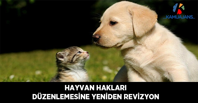 'Hayvan Hakları' Düzenlemesine Yeniden Revizyon