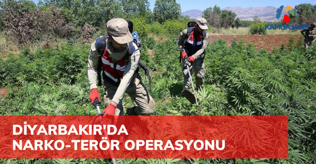 Diyarbakır'da Narko-Terör Operasyonu Yapıldı