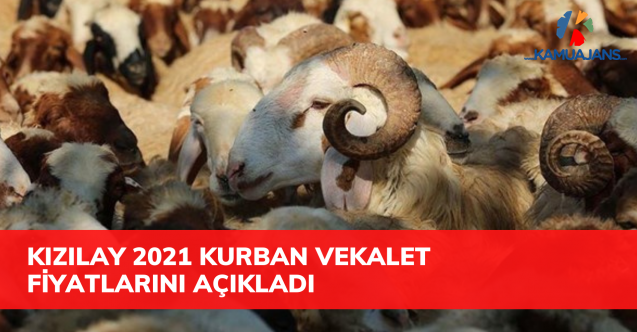 Kızılay 2021 Kurban Vekalet Fiyatlarını Belirledi