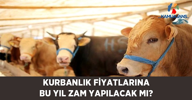 Kurbanlık Fiyatlarına Bu Yıl Zam Yapılacak Mı?