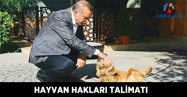 Cumhurbaşkanı Erdoğan'dan Hayvan Hakları Talimatı