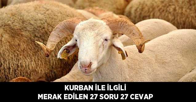 Kurban İle İlgili Merak Edilen 27 Soru 27 Cevap