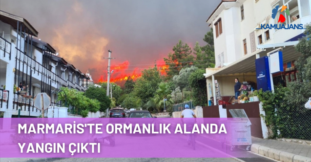 Marmaris'te Ormanlık Alanda Yangın Çıktı