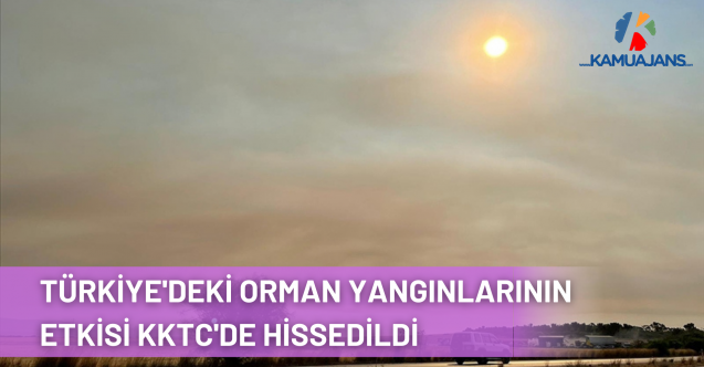 Tarım ve Orman Bakanı Pakdemirli: Yangınların sebebiyle ilgili çok yönlü soruşturma yapılıyor