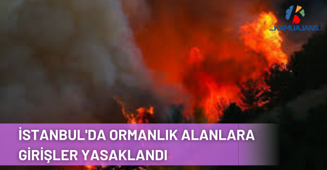İstanbul'da Orman Yangınlarının Önlenmesi Amacıyla Ormanlık Alanlara Girişler Yasaklandı