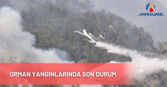 Orman Yangınlarında Son Durum