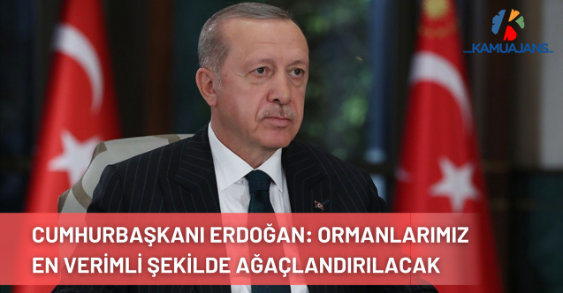 Cumhurbaşkanı Erdoğan: Yanan ormanlarımız en verimli şekilde ağaçlandırılacak