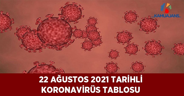 Koronavirüs Vefat ve Vaka Sayısı Tablosu (22 Ağustos 2021)